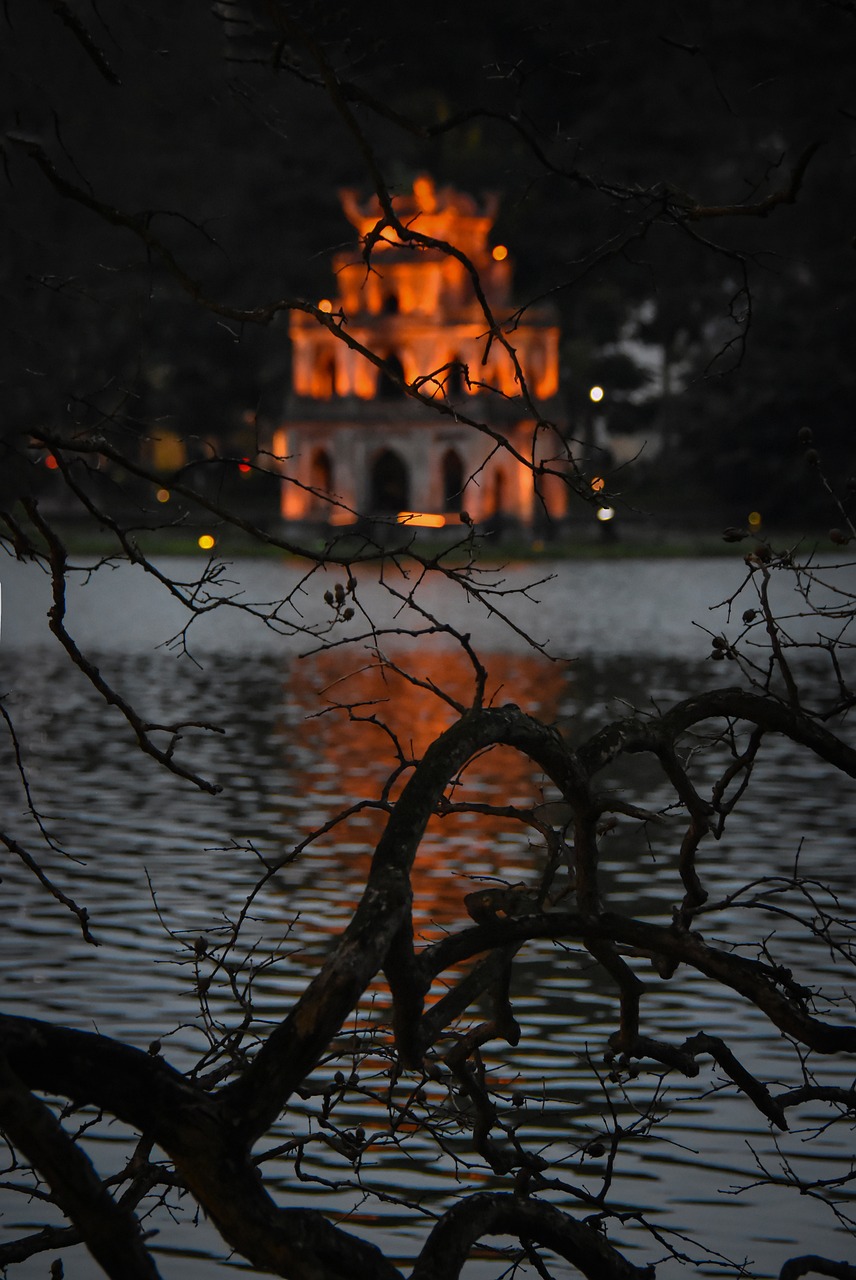 lake, flowering, lagerstroemia, spring, nature, purple flowers, young buds, orange summer, hanoi, vietnam, lakeside trees, at night
